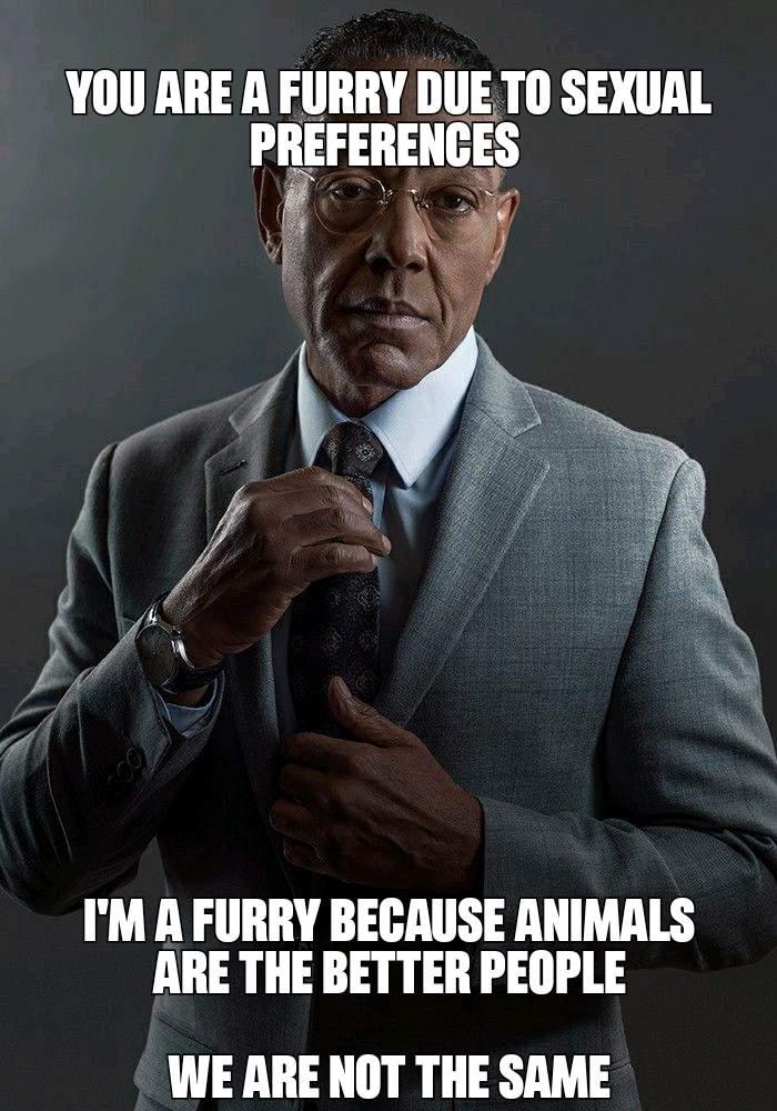 We are not the same meme template [black man in suite adjusting his necktie] caption reads "You are a furry due to sexual preferenc//I'm a furry because animals are the better people//we are not the same.